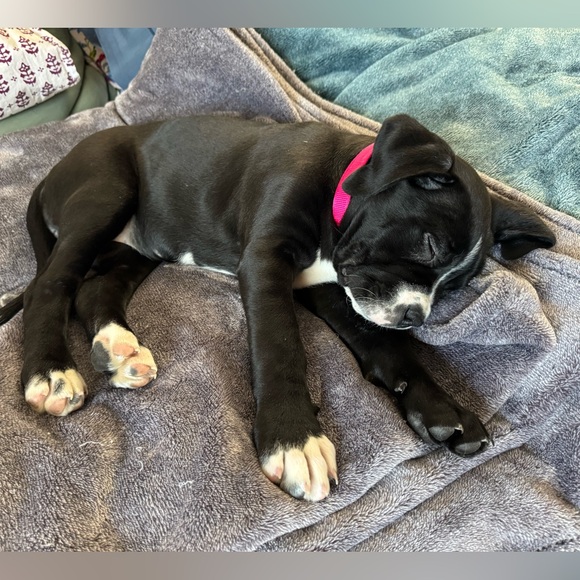 Meet your Posher, April - Picture 4 of 4